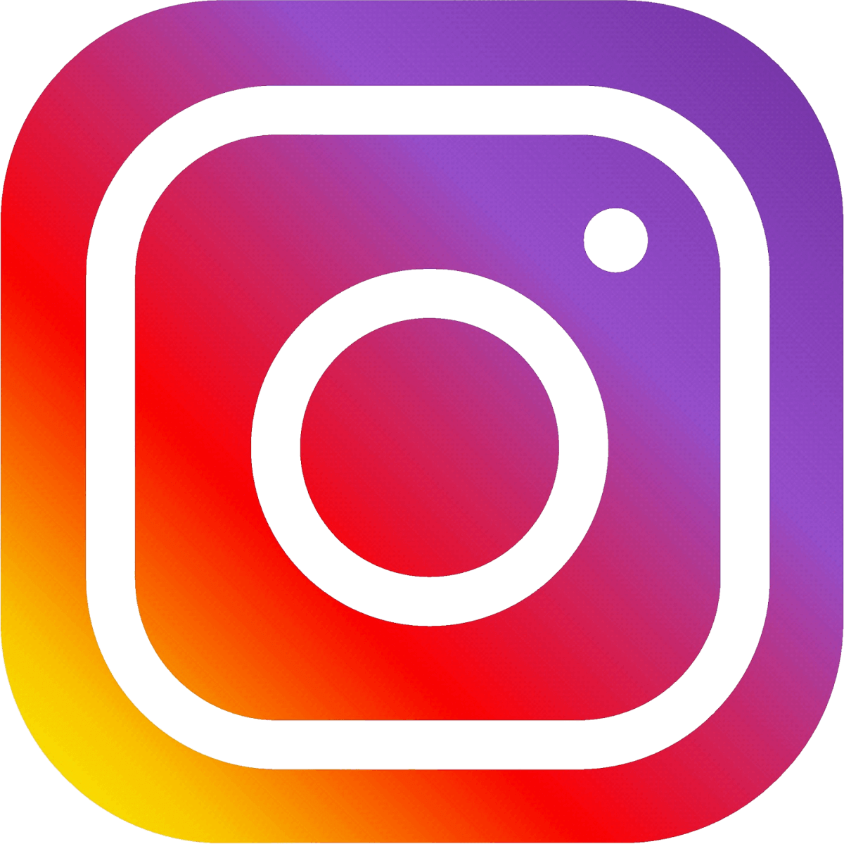 Instagram Business reports